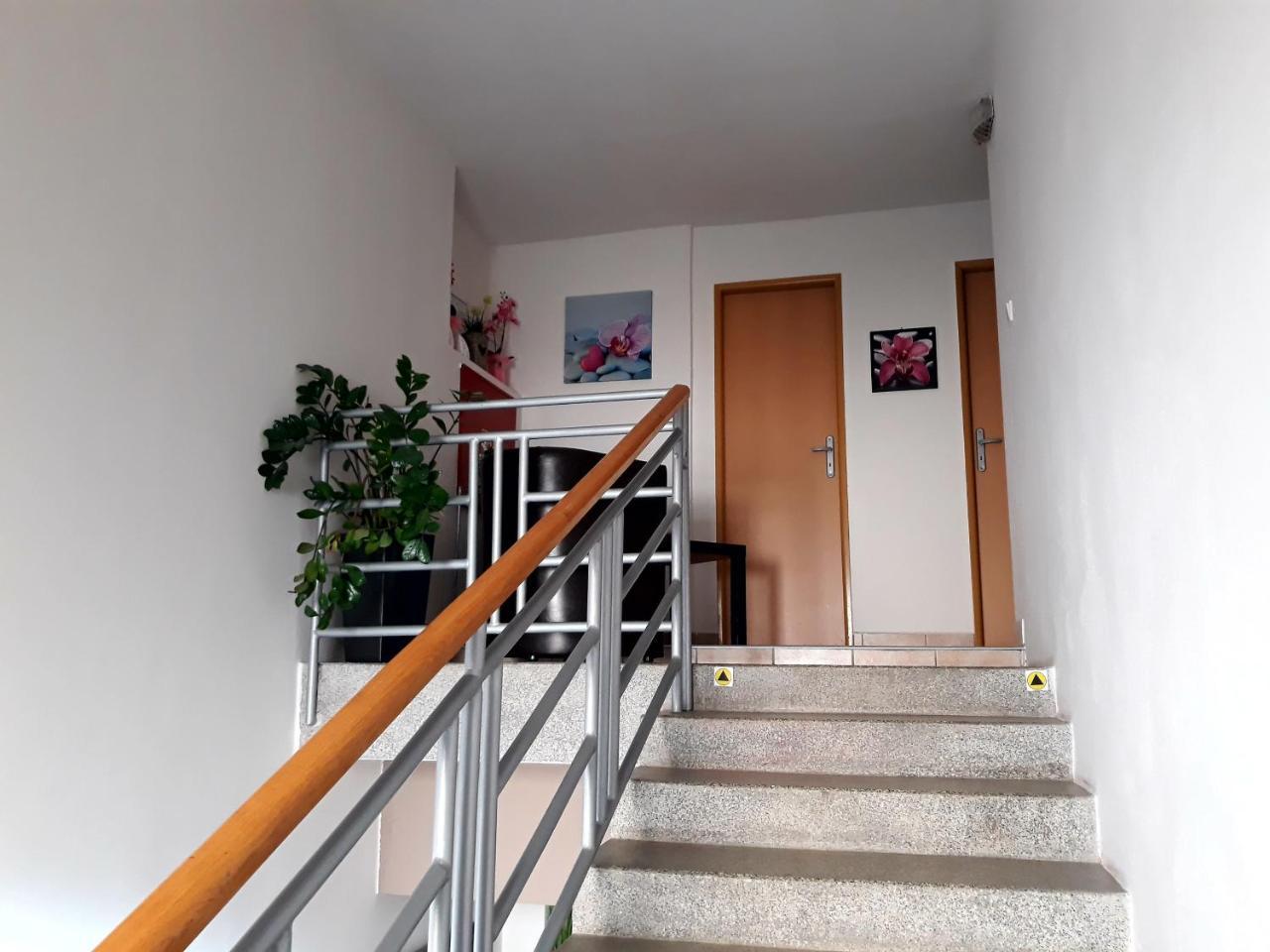 Nemšová Penzion Fox מראה חיצוני תמונה